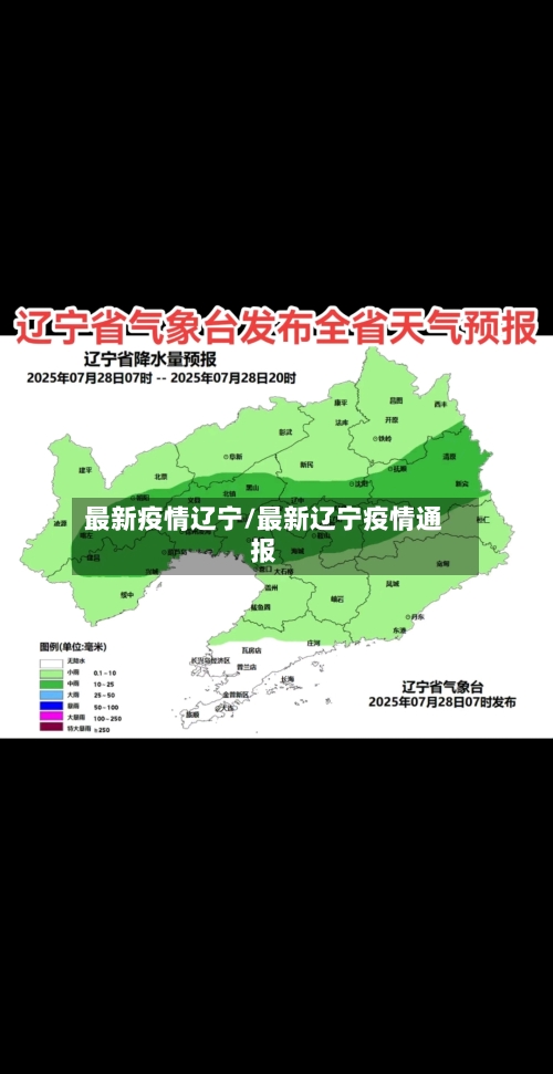 最新疫情辽宁/最新辽宁疫情通报