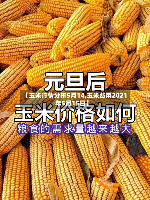 【玉米行情分析5月14,玉米费用2021年5月15日】-第3张图片