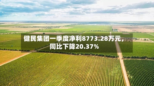 健民集团一季度净利8773.28万元，同比下降20.37%-第3张图片