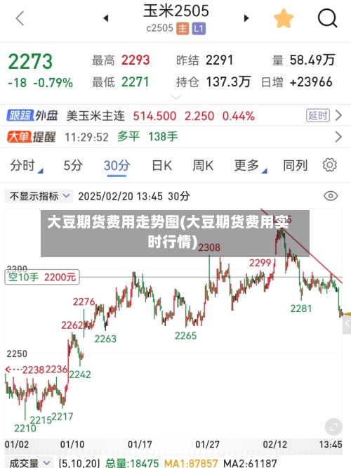 大豆期货费用走势图(大豆期货费用实时行情)-第2张图片