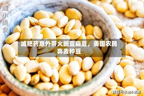 减肥药意外带火豌豆扁豆，美国农民弃麦种豆-第2张图片