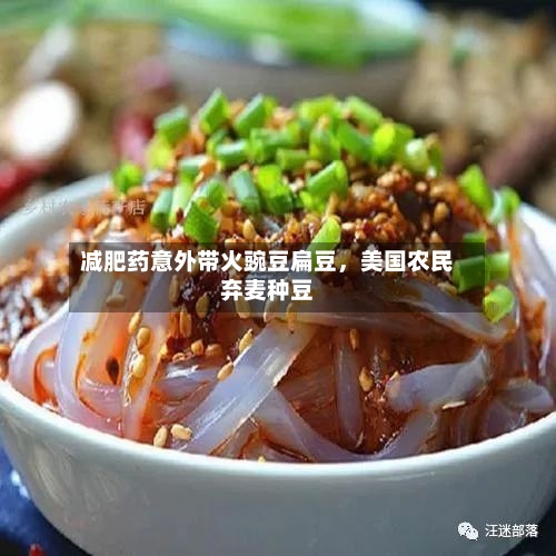 减肥药意外带火豌豆扁豆，美国农民弃麦种豆-第3张图片
