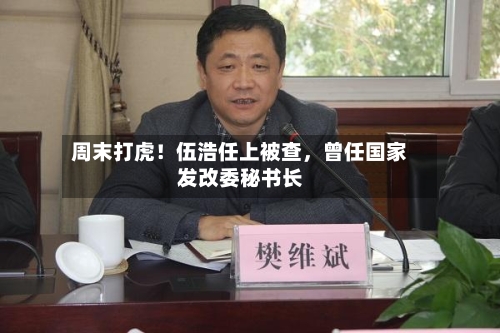 周末打虎！伍浩任上被查	，曾任国家发改委秘书长-第3张图片
