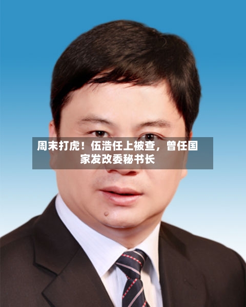 周末打虎！伍浩任上被查，曾任国家发改委秘书长-第2张图片