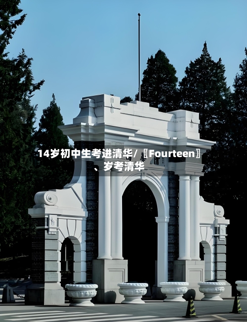 14岁初中生考进清华/〖Fourteen〗	、岁考清华-第3张图片