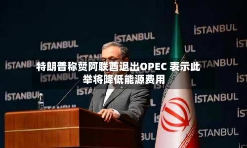 特朗普称赞阿联酋退出OPEC 表示此举将降低能源费用
-第2张图片
