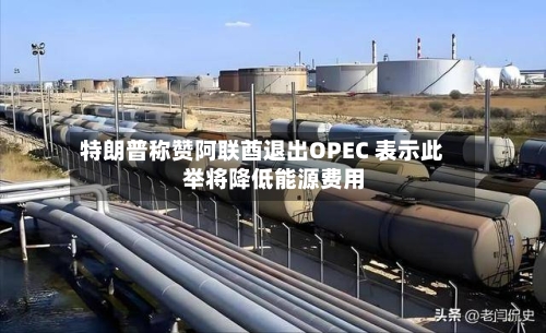 特朗普称赞阿联酋退出OPEC 表示此举将降低能源费用
-第3张图片