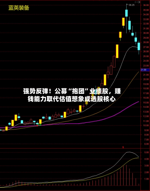 强势反弹！公募“抱团”业绩股，赚钱能力取代估值想象成选股核心-第3张图片