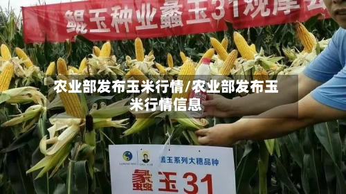 农业部发布玉米行情/农业部发布玉米行情信息-第3张图片