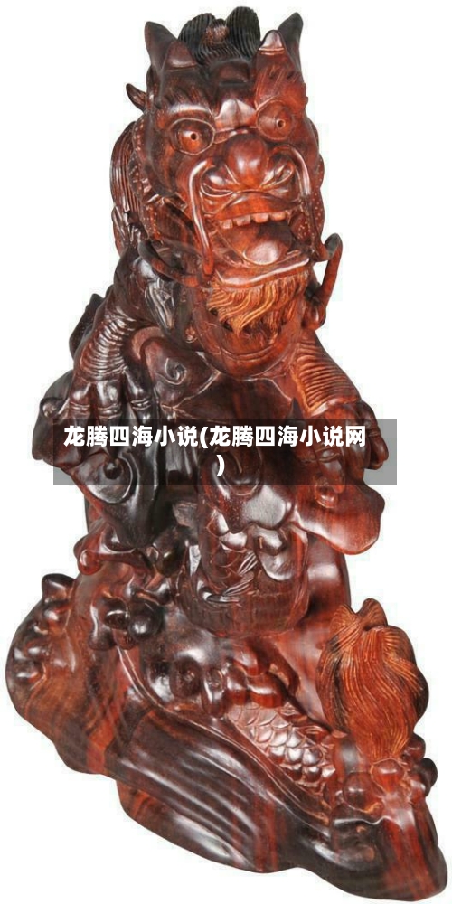 龙腾四海小说(龙腾四海小说网)-第2张图片