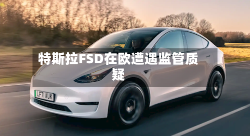 特斯拉FSD在欧遭遇监管质疑-第2张图片