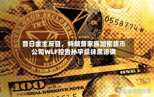 昔日金主反目，特朗普家族加密货币公司WLF控告孙宇晨抹黑诽谤-第2张图片