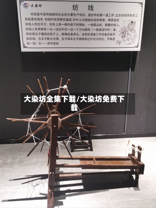 大染坊全集下载/大染坊免费下载-第3张图片
