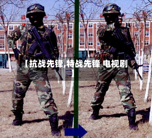 【抗战先锋,特战先锋 电视剧】-第3张图片