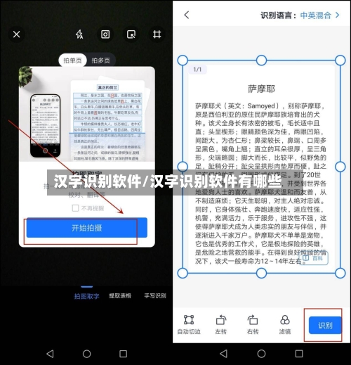 汉字识别软件/汉字识别软件有哪些