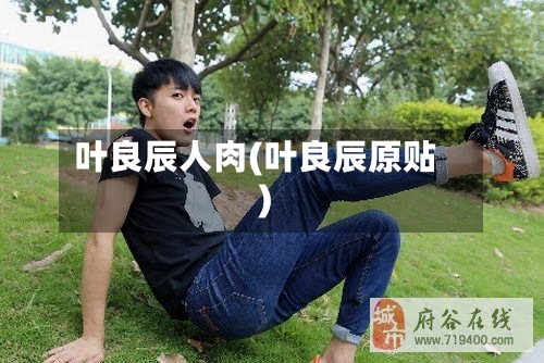 叶良辰人肉(叶良辰原贴)