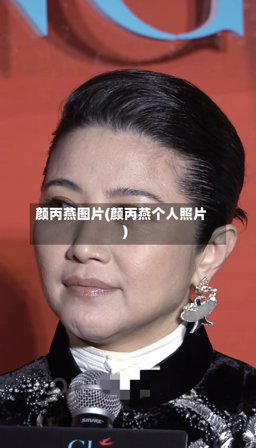 颜丙燕图片(颜丙燕个人照片)-第2张图片