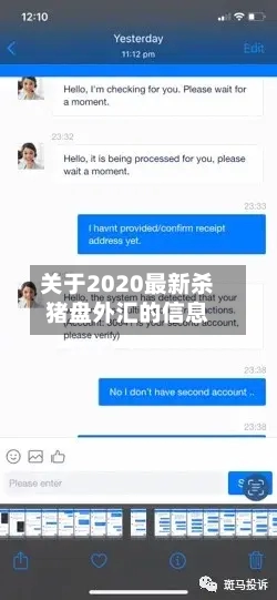 关于2020最新杀猪盘外汇的信息