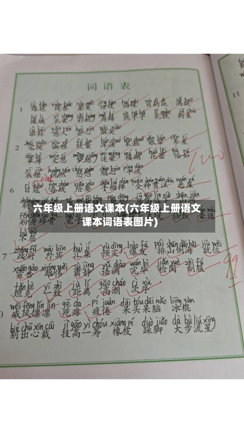 六年级上册语文课本(六年级上册语文课本词语表图片)-第3张图片