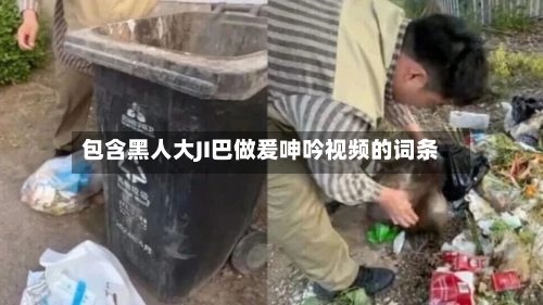 包含黑人大JI巴做爰呻吟视频的词条