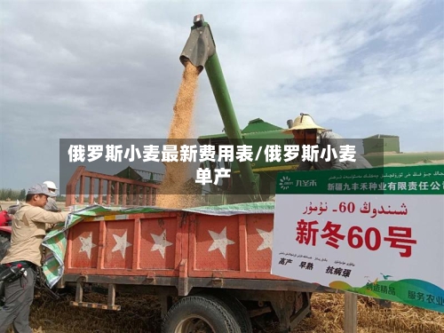 俄罗斯小麦最新费用表/俄罗斯小麦单产-第2张图片