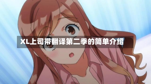 XL上司带翻译第二季的简单介绍