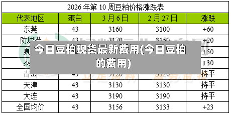 今日豆柏现货最新费用(今日豆柏的费用)-第2张图片