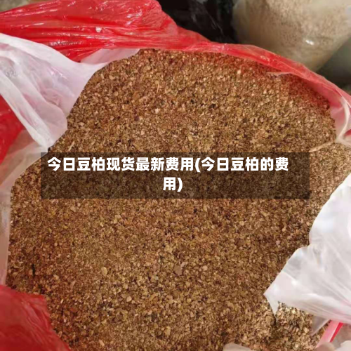 今日豆柏现货最新费用(今日豆柏的费用)