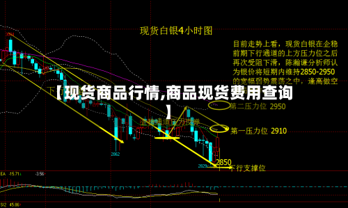 【现货商品行情,商品现货费用查询】-第2张图片