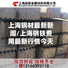 上海钢材最新新闻/上海钢铁费用最新行情今天-第2张图片
