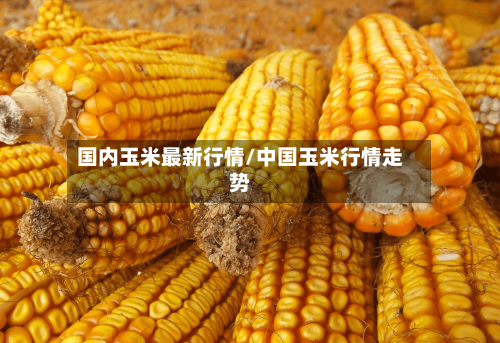 国内玉米最新行情/中国玉米行情走势
