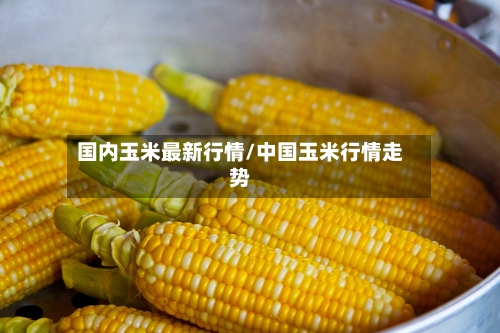 国内玉米最新行情/中国玉米行情走势-第3张图片