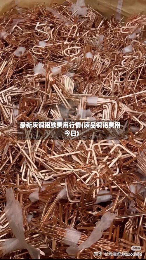 最新废铜铝铁费用行情(废品铜铝费用今日)-第2张图片