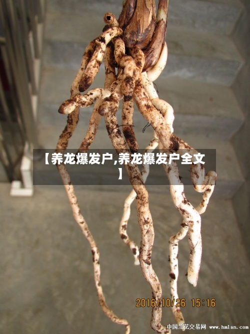 【养龙爆发户,养龙爆发户全文】