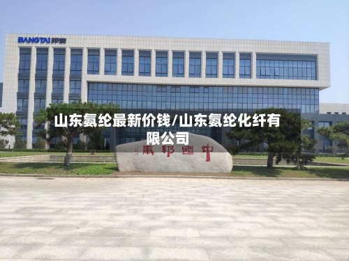 山东氨纶最新价钱/山东氨纶化纤有限公司-第3张图片
