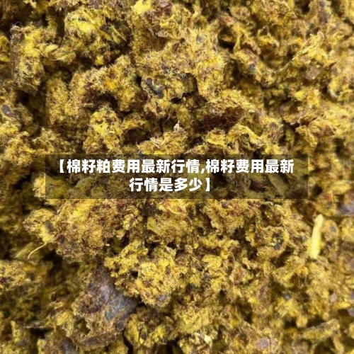 【棉籽粕费用最新行情,棉籽费用最新行情是多少】