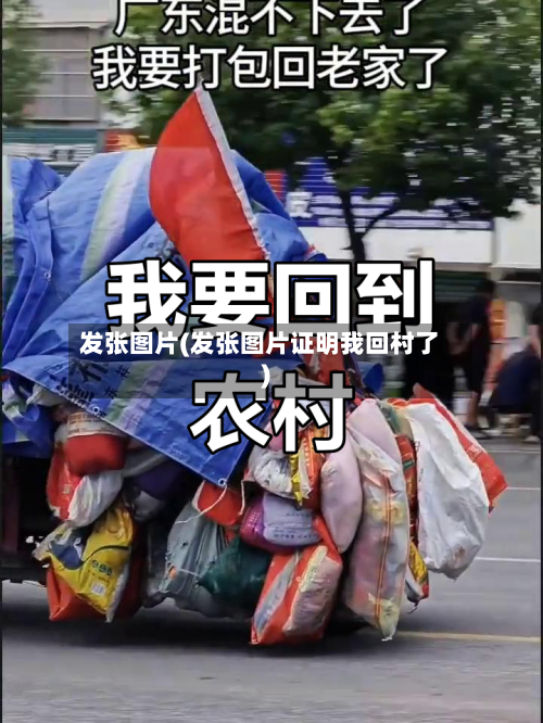 发张图片(发张图片证明我回村了)