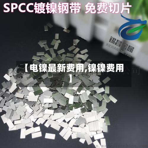【电镍最新费用,镍镍费用】