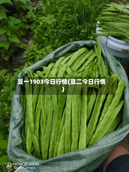 豆一1903今日行情(豆二今日行情)