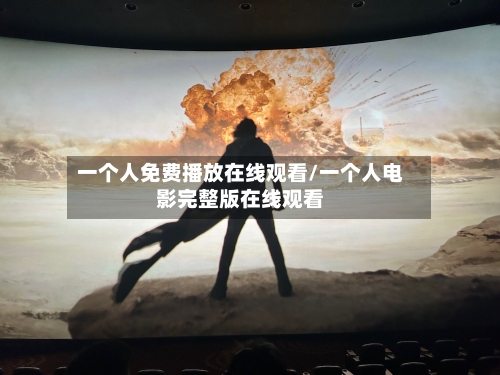 一个人免费播放在线观看/一个人电影完整版在线观看-第2张图片