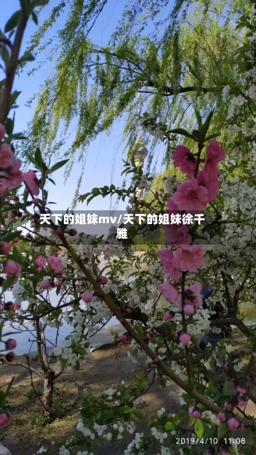天下的姐妹mv/天下的姐妹徐千雅-第2张图片