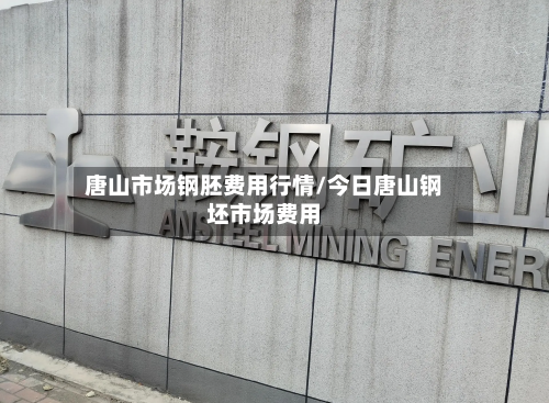 唐山市场钢胚费用行情/今日唐山钢坯市场费用-第3张图片