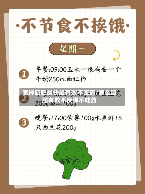 怎样减肥最快最有效不吃药/怎么减肥有效不反弹不吃药-第3张图片