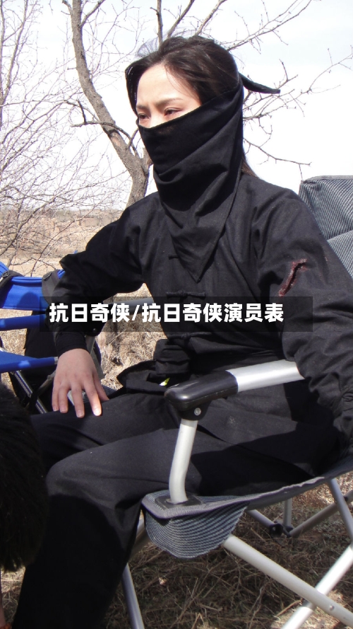 抗日奇侠/抗日奇侠演员表