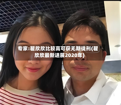 专家:翟欣欣比较高可获无期徒刑(翟欣欣最新进展2020年)