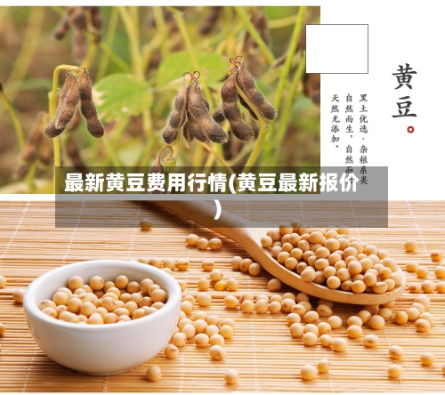 最新黄豆费用行情(黄豆最新报价)