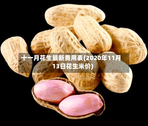 十一月花生最新费用表(2020年11月13日花生米价)