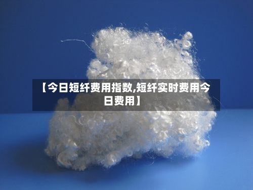 【今日短纤费用指数,短纤实时费用今日费用】-第3张图片