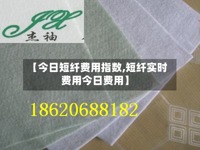 【今日短纤费用指数,短纤实时费用今日费用】-第2张图片