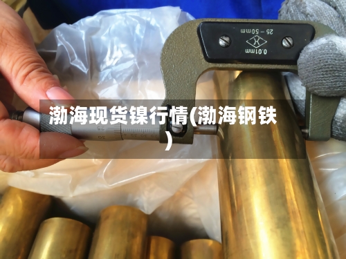 渤海现货镍行情(渤海钢铁)-第3张图片